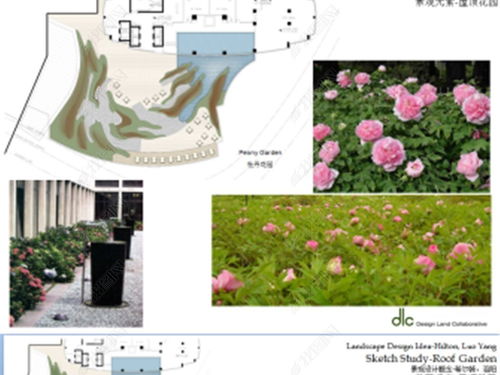 10套国际顶尖景观事务所设计平面图深度解析与资源获取指南